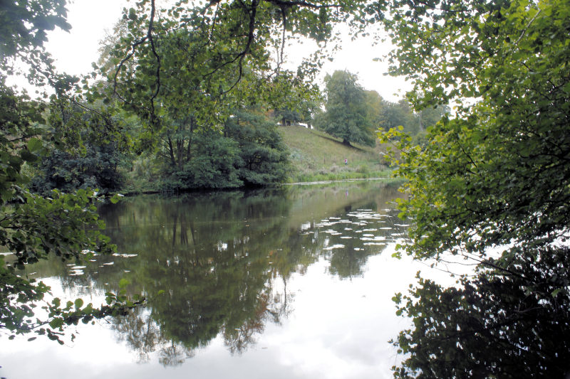 Mere Pond Mere Pond